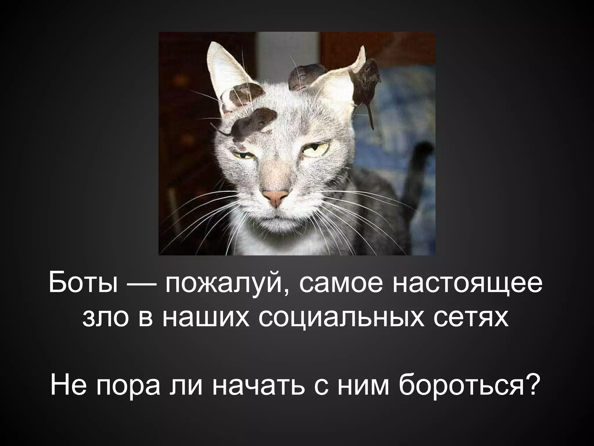 Боты — пожалуй, самое настоящее
  зло в наших социальных сетях

Не пора ли начать с ним бороться?
 