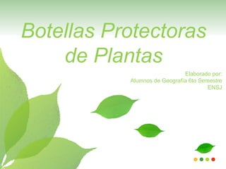 Botellas Protectoras
    de Plantas
                              Elaborado por:
           Alumnos de Geografía 6to Semestre
                                       ENSJ
 