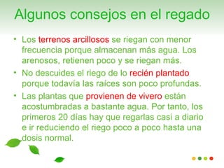 Algunos consejos en el regado
• Los terrenos arcillosos se riegan con menor
  frecuencia porque almacenan más agua. Los
  arenosos, retienen poco y se riegan más.
• No descuides el riego de lo recién plantado
  porque todavía las raíces son poco profundas.
• Las plantas que provienen de vivero están
  acostumbradas a bastante agua. Por tanto, los
  primeros 20 días hay que regarlas casi a diario
  e ir reduciendo el riego poco a poco hasta una
  dosis normal.
 