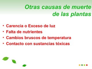 Otras causas de muerte
                     de las plantas
•   Carencia o Exceso de luz
•   Falta de nutrientes
•   Cambios bruscos de temperatura
•   Contacto con sustancias tóxicas
 