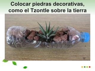 Colocar piedras decorativas,
como el Tzontle sobre la tierra
 
