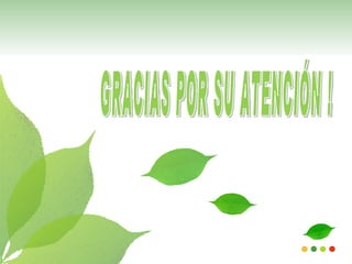 Botellas protectoras de plantas