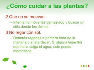 ¿Cómo cuidar a las plantas?
2 Que no se muevan.
  – Intenta no moverlas demasiado y buscar un
    sitio donde les del sol.
3 No regar con sol.
  – Deberás regarlas a primera hora de la
    mañana o al atardecer. Si alguna tiene flor
    que no la caiga el agua, esto puede
    marchitarla.
 