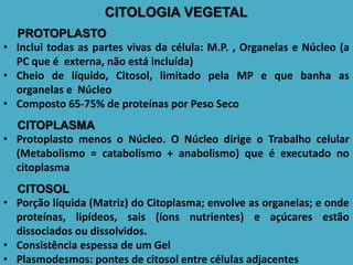 CITOLOGIA VEGETAL
PROTOPLASTO
• Inclui todas as partes vivas da célula: M.P. , Organelas e Núcleo (a
PC que é externa, não está incluída)
• Cheio de líquido, Citosol, limitado pela MP e que banha as
organelas e Núcleo
• Composto 65-75% de proteínas por Peso Seco
CITOPLASMA
• Protoplasto menos o Núcleo. O Núcleo dirige o Trabalho celular
(Metabolismo = catabolismo + anabolismo) que é executado no
citoplasma
CITOSOL
• Porção líquida (Matriz) do Citoplasma; envolve as organelas; e onde
proteínas, lipídeos, sais (íons nutrientes) e açúcares estão
dissociados ou dissolvidos.
• Consistência espessa de um Gel
• Plasmodesmos: pontes de citosol entre células adjacentes
 