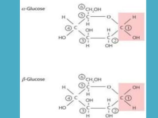 Botestrutural celula aula01