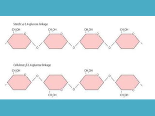 Botestrutural celula aula01