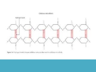 Botestrutural celula aula01