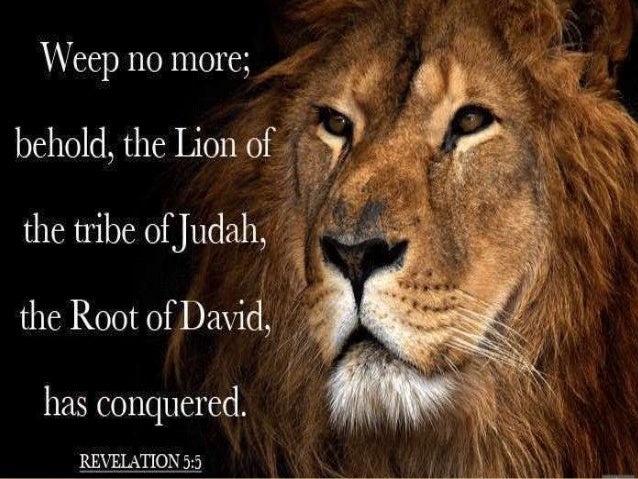 biblical figures in the lion the The bible speaks more about the tribe of judah than any other single tribe of israel why is this a lion: the biblical symbol of the tribe of judah the history of . biblical figures in the lion the The bible speaks more about the tribe of judah than any other single tribe of israel why is this a lion: the biblical symbol of the tribe of judah the history of .