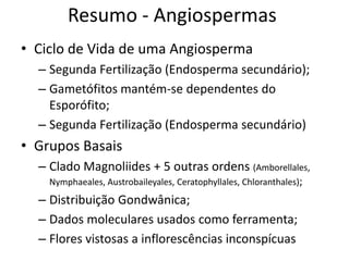 Resumo - Angiospermas
• Ciclo de Vida de uma Angiosperma
– Segunda Fertilização (Endosperma secundário);
– Gametófitos mantém-se dependentes do
Esporófito;
– Segunda Fertilização (Endosperma secundário)
• Grupos Basais
– Clado Magnoliides + 5 outras ordens (Amborellales,
Nymphaeales, Austrobaileyales, Ceratophyllales, Chloranthales);
– Distribuição Gondwânica;
– Dados moleculares usados como ferramenta;
– Flores vistosas a inflorescências inconspícuas
 