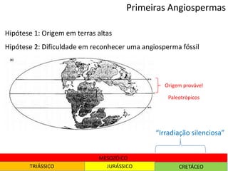 Hipótese 1: Origem em terras altas
Hipótese 2: Dificuldade em reconhecer uma angiosperma fóssil
“Irradiação silenciosa”
Primeiras Angiospermas
Origem provável
Paleotrópicos
 