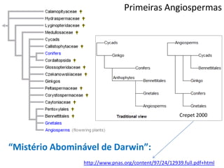 Crepet 2000
http://www.pnas.org/content/97/24/12939.full.pdf+html
“Mistério Abominável de Darwin”:
Primeiras Angiospermas
 