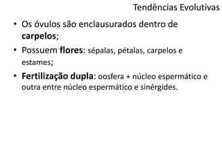 Tendências Evolutivas
• Os óvulos são enclausurados dentro de
carpelos;
• Possuem flores: sépalas, pétalas, carpelos e
estames;
• Fertilização dupla: oosfera + núcleo espermático e
outra entre núcleo espermático e sinérgides.
 