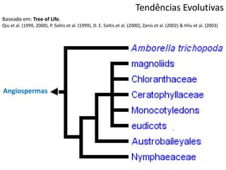 Tendências Evolutivas
Baseado em: Tree of Life.
Qiu et al. (1999, 2000), P. Soltis et al. (1999), D. E. Soltis et al. (2000), Zanis et al. (2002) & Hilu et al. (2003)
Angiospermas
 