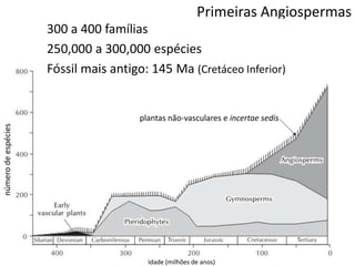 Primeiras Angiospermas
300 a 400 famílias
250,000 a 300,000 espécies
Fóssil mais antigo: 145 Ma (Cretáceo Inferior)
plantas não-vasculares e incertae sedis
númerodeespécies
Idade (milhões de anos)
 