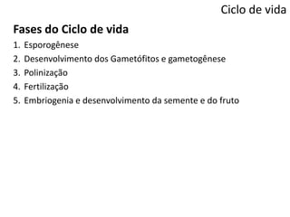 Ciclo de vida
Fases do Ciclo de vida
1. Esporogênese
2. Desenvolvimento dos Gametófitos e gametogênese
3. Polinização
4. Fertilização
5. Embriogenia e desenvolvimento da semente e do fruto
 