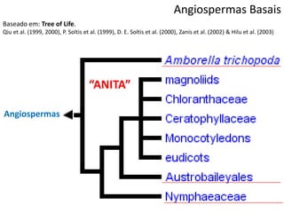 Angiospermas Basais
Baseado em: Tree of Life.
Qiu et al. (1999, 2000), P. Soltis et al. (1999), D. E. Soltis et al. (2000), Zanis et al. (2002) & Hilu et al. (2003)
Angiospermas
“ANITA”
 