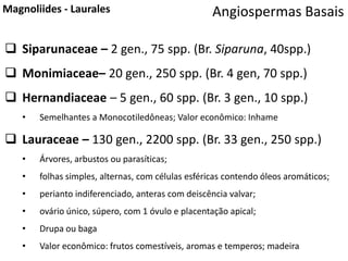 Angiospermas BasaisMagnoliides - Laurales
 Siparunaceae – 2 gen., 75 spp. (Br. Siparuna, 40spp.)
 Monimiaceae– 20 gen., 250 spp. (Br. 4 gen, 70 spp.)
 Hernandiaceae – 5 gen., 60 spp. (Br. 3 gen., 10 spp.)
• Semelhantes a Monocotiledôneas; Valor econômico: Inhame
 Lauraceae – 130 gen., 2200 spp. (Br. 33 gen., 250 spp.)
• Árvores, arbustos ou parasíticas;
• folhas simples, alternas, com células esféricas contendo óleos aromáticos;
• perianto indiferenciado, anteras com deiscência valvar;
• ovário único, súpero, com 1 óvulo e placentação apical;
• Drupa ou baga
• Valor econômico: frutos comestíveis, aromas e temperos; madeira
 