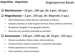  Myristicaceae – 20 gen., 500 spp. (Br. 6 gen., 60 spp.)
 Magnoliaceae – 2 gen., 230 spp. (Br. Magnolia, 4 spp.)
• Nós multilacunares; Folhas alternas, espiraladas ou dísticas;
• Estípulas presentes ao redor da gema terminal; Flores solitárias e terminais;
• Receptáculo alongado; Fruto agregado, folículos;
• Sementes com sarcotesta alaranjada ou vermelha.
 Annonaceae – 130 gen., 2200 spp. (Br. 33 gen., 250 spp.)
• Árvores ou arbustos; Folhas simples, alternas dísticas;
• Perianto trímero, estames numerosos, usualmente espiralados;
• Pistilos apocárpicos ou sincárpicos.
• Valor econômico: frutos comestíveis
Angiospermas BasaisMagnoliides - Magnoliales
 