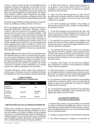 3N° 33, Año 2015
Lachesis, cuaimas, concha de piña, son probablemente las
serpientes venenosas más grandes en el mundo, su mor-
dedura, generalmente es desgarrante, tal como una mor-
dedura canina; las cantidades de veneno que inocula son
altas, pero afortunadamente de baja potencia. Su impor-
tancia médica es relativa, desde el punto de vista epide-
miológico, ya que los accidentes son bastante raros y solo
ocurren en medio de la floresta tropical húmeda profunda.
En cuanto a agresividad, el comportamiento es esquema-
tizado así: Bothrops, Crotalus, Lachesis y Micrurus.
De los seis géneros de serpientes venenosas descritos en
Venezuela: Bothriochis, Bothriopsis, Bothrops, Crótalus,
Lachesis y Micrurus pertenecen a la familia Viperidae; y
el género Micrurus pertenece a la familia Elapidae. Cada
uno de estos géneros, posee características propias que
facilitan su identificación. En este sentido, la familia Vi-
peridae con sus tres géneros posee como característica
común un órgano termoreceptor o Foseta Loreal. Es un
orificio situado entre la narina y el ojo de la serpiente por
lo que popularmente recibe el nombre de “cuatro nari-
ces”. La diferencia morfológica de estas familias, en com-
paración con las serpientes no venenosas, se puede hacer
de la siguiente manera:
Elapidae: NO poseen Foseta Loreal. Son serpientes de di-
fícil identificación, las cuales se caracterizan por presen-
tar varios colores dispuestos en forma de anillos alternos
donde predominan el rojo, el negro y/o amarillo. La me-
jor manera de identificar a las corales venenosas, es veri-
ficando la presencia de colmillos inoculadores de veneno
a nivel de la segunda escama supralabial en el maxilar
superior, los cuales son pequeños y no retráctiles.
Crotalidae: SI poseen Foseta Loreal. Son serpientes de
colores opacos. Presentan un par de colmillos retráctiles,
inoculadores de veneno, hacia la parte anterior del maxilar.
Familia Crotalidae:
Clave simplificada de identificación
Género Foseta Loreal Cola
Bothrops
(Mapanare)
Presente Lisa
Crotalus
Cascabel)
Presente
Apendice
córneo
Lachesis
(Cuaimas)
Presente Erizada
PREVENCIÓN DE LOS ACCIDENTES OFÍDICOS
Existen gran cantidad de factores relacionados con el
accidente ofídico, fundamentalmente debidos a la incur-
sión del hombre en el nicho ecológico de las serpientes
venenosas. La actitud del humano, frente al ofidio poten-
cialmente agresor, en la mayoría de los casos, condiciona
la gravedad del accidente. Enumerar normas de preven-
ción y medidas básicas puede ser de gran utilidad:
1.- Se debe evitar andar sin calzado. El uso de botas al-
tas de goma o cuero evitan entre el 50% al 75% de los
accidentes, ya que son los pies y las piernas las regiones
anatómicas más afectadas.
2.- Antes de iniciar labores agrícolas, en áreas de alta
prevalencia de accidentes ofídicos, se debe alertar al tra-
bajador sobre el riesgo; de forma tal, que tome doble
cuidado en su trabajo.
3.- Por existir serpientes que habitan en los árboles, se
debe prestar mucha atención, cuando se realizan labores
de cosechas de frutos.
4. - El uso de los guantes en la recolección de caña, café,
arroz, así como en trabajos de limpieza de terrenos es de
mucha importancia, ya que el 20% de los accidentes ofí-
dicos afectan las manos y los antebrazos.
5.- No introducir las manos en huecos de árboles o del
terreno. No remover troncos caídos o leña apilada, sin to-
mar precauciones, ya que son los lugares donde frecuen-
temente reposan las serpientes.
6. - La construcción de aceras en torno a las viviendas,
tapar grietas de suelo y paredes, colocar pequeños mu-
ros que interrumpan el espacio entre la puerta y el piso
de la casa pueden evitar accidentes. Así también es im-
portante mantener limpia el área de vegetación, alrede-
dor de las casas.
7.- Animales como el gato, aves de corral y los rabipela-
dos, contribuyen a mantener el área doméstica y perido-
méstica libre de serpientes.
8.- En los días de paseo o vacaciones, se debe evitar acam-
par en lugares próximos a plantaciones y pastos. La mar-
gen de los ríos y lagos, son sitios usualmente poblados de
serpientes, por ello se debe estar alerta al visitarlos.
9.- Las serpientes venenosas generalmente tienen hábitos
vespertinos o nocturnos; por lo cual, en este período de
tiempo se debe evitar deambular sin tomar las medidas
de prevención necesarias.
10.- Son muchos los enemigos naturales de las serpientes:
Zorros, gavilanes, rabipelados y aves nocturnas por citar
algunos que deben ser preservados.
ACCIDENTES OFÍDICOS:
CUIDADOS INMEDIATOS
1.- Después del accidente, el paciente debe ser mantenido
en reposo, evitando en lo posible que camine o corra; en
caso contrario, la absorción del veneno puede ser favore-
cida. El traslado del paciente a un centro asistencial debe
hacerse inmediatamente.
2.- Limpiar con agua y jabón, la zona anatómica afectada.
3.- No utilizar torniquete en ninguna circunstancia, ni
 