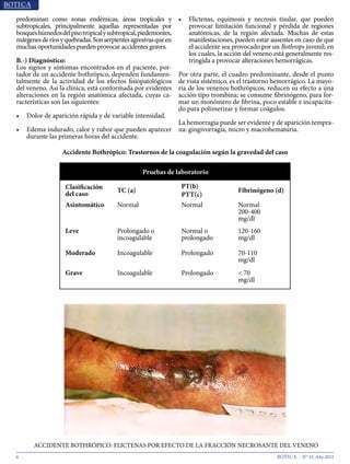 6 N° 33, Año 2015
predominan como zonas endémicas, áreas tropicales y
subtropicales, principalmente aquellas representadas por
bosqueshúmedosdelpisotropicalysubtropical,piedemontes,
márgenesderíosyquebradas.Sonserpientesagresivasqueen
muchas oportunidades pueden provocar accidentes graves.
B.-) Diagnóstico:
Los signos y síntomas encontrados en el paciente, por-
tador de un accidente bothrópico, dependen fundamen-
talmente de la actividad de los efectos fisiopatológicos
del veneno. Así la clínica, está conformada por evidentes
alteraciones en la región anatómica afectada, cuyas ca-
racterísticas son las siguientes:
•	 Dolor de aparición rápida y de variable intensidad.
•	 Edema indurado, calor y rubor que pueden aparecer
durante las primeras horas del accidente.
•	 Flictenas, equimosis y necrosis tisular, que pueden
provocar limitación funcional y pérdida de regiones
anatómicas, de la región afectada. Muchas de estas
manifestaciones, pueden estar ausentes en caso de que
el accidente sea provocado por un Bothrops juvenil; en
los cuales, la acción del veneno está generalmente res-
tringida a provocar alteraciones hemorrágicas.
Por otra parte, el cuadro predominante, desde el punto
de vista sistémico, es el trastorno hemorrágico. La mayo-
ría de los venenos bothrópicos, reducen su efecto a una
acción tipo trombina; se consume fibrinógeno, para for-
mar un monómero de fibrina, poco estable e incapacita-
do para polimerizar y formar coágulos.
La hemorragia puede ser evidente y de aparición tempra-
na: gingivorragia, micro y macrohematuria.
Accidente Bothrópico: Trastornos de la coagulación según la gravedad del caso
Pruebas de laboratorio
Clasificación
del caso
TC (a)
PT(b)
PTT(c)
Fibrinógeno (d)
Asintomático Normal Normal Normal
200-400
mg/dl
Leve Prolongado o
incoagulable
Normal o
prolongado
120-160
mg/dl
Moderado Incoagulable Prolongado 70-110
mg/dl
Grave Incoagulable Prolongado < 70
mg/dl
ACCIDENTE BOTHRÓPICO: FLICTENAS POR EFECTO DE LA FRACCIÓN NECROSANTE DEL VENENO
 