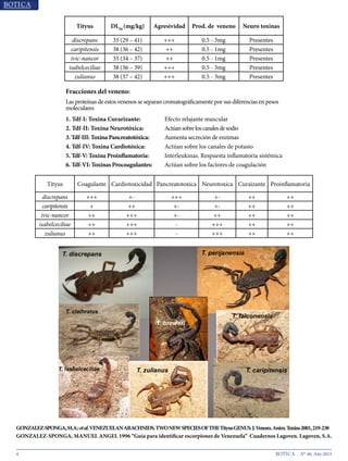 4 N° 46, Año 2015
Tityus Coagulante Cardiotoxicidad Pancreatotoxica Neurotoxica Curaizante Proinflamatoria
discrepans +++ +- +++ +- ++ ++
caripitensis + ++ +- +- ++ ++
ivic-nancor ++ +++ +- ++ ++ ++
isabelceciliae ++ +++ - +++ ++ ++
zulianus ++ +++ - +++ ++ ++
Tityus DL50
(mg/kg) Agresividad Prod. de veneno Neuro toxinas
discrepans 35 (29 – 41) +++ 0.5 - 3mg Presentes
caripitensis 38 (36 – 42) ++ 0.5 - 1mg Presentes
ivic-nancor 35 (34 – 37) ++ 0.5 - 1mg Presentes
isabelceciliae 38 (36 – 39) +++ 0.5 - 3mg Presentes
zulianus 38 (37 – 42) +++ 0.5 - 3mg Presentes
Fracciones del veneno:
Las proteínas de estos venenos se separan cromatográficamente por sus diferencias en pesos
moleculares
1. Tdf-I: Toxina Curarizante: Efecto relajante muscular
2. Tdf-II: Toxina Neurotóxica: Actúansobreloscanalesdesodio
3. Tdf-III: Toxina Pancreatotóxica: Aumenta secreción de enzimas
4. Tdf-IV: Toxina Cardiotóxica: Actúan sobre los canales de potasio
5. Tdf-V: Toxina Proinflamatoria: Interleukinas. Respuesta inflamatoria sistémica
6. Tdf-VI: Toxinas Procoagulantes: Actúan sobre los factores de coagulación
GONZALEZ-SPONGA,M.A.:etal.VENEZUELANARACHNIDS.TWONEWSPECIESOFTHETityusGENUS.J.Venom.Anim.Toxins2001,219-238
GONZALEZ-SPONGA, MANUEL ANGEL 1996 “Guía para identificar escorpiones de Venezuela” Cuadernos Lagoven. Lagoven, S.A.
 