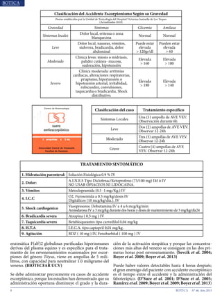 8 N° 46, Año 2015
enzimática F(ab’)2 globulinas purificadas hiperinmunes
derivas del plasma equino y es específico para el trata-
miento de los envenenamientos ocasionados por escor-
piones del género Tityus, viene en ampollas de 5 mili-
litros, con capacidad para neutralizar 1.0 miligramo del
veneno. (BIOTECFAR UCV)
Se debe administrar precozmente en casos de accidente
escorpiónico, porque los estudios han demostrado que su
administración oportuna disminuye el grado y la dura-
ción de la activación simpática y porque las concentra-
ciones más altas del veneno se consiguen en las dos pri-
meras horas post envenenamiento. (Sevcik et al. 2004;
Boyer et al. 2009; Boyer et al. 2013)
Puede haber valores detectables hasta 4 horas después;
el gran enemigo del paciente con accidente escorpiónico
es el tiempo entre el accidente y la administración del
faboterápico. (D’Suze et al. 2001; D’Suze et al. 2003;
Ramírez et al. 2009; Boyer et al. 2009; Boyer et al. 2013)
Clasificación del Accidente Escorpionismo Según su Gravedad
Pautas establecidas por la Unidad de Toxicología del Hospital Victorino Santaella de Los Teques
(Actualizadas 2010)
Gravedad Síntomas Glicemia Amilasa
Síntomas locales
Dolor local, eritema o zona
blanquecina
Normal Normal
Leve
Dolor local, nauseas, vómitos,
sialorrea, bradicardia, dolor
abdominal
Puede estar
elevada
> 120gr/dl
Pueden estar
elevada
> 60
Moderado
Clínica leves: miosis o midriasis,
palidez cutánea- mucosa,
sudoración, hipotensión
Elevada
> 160
Elevada
> 100
Severo
Clínica moderada: arritmias
cardíacas, alteraciones respiratorias,
priapismo, hipertensión o
hipotensión arterial, irritabidad,
rubicundez, convulsiones,
taquicardia o bradicardia, Shock
distributivo.
Elevada
> 180
Elevada
> 140
TRATAMIENTO SINTOMÁTICO
1. Hidratación parenteral: Solución Fisiológica 0.9 % IV
2. Dolor:
A.I.N.E.S Tipo Diclofenac/Ketoprofeno (75/100 mg) IM ó IV
NO USAR OPIACEOS NI LIDOCAINA.
3. Vómitos Metoclopramida (0.5 -1 mg./Kg.) IV
4. I.C.C
O2, Furosemida a 0.5 mg/kg/dosis IV
Digitálicos (10 mcg/kg/día.). IV
5. Shock cardiogenico
Vasopresores: Dobutamina IV a 4 a 6 mcg/kg/min
AmiodaronaIVa3mcg/kgdurantedoshorasydosisdemantenimientode5mg/kg/día24
6. Bradicardia severa Atropina ( 0.5 mg ) IV
7. Taquicardia severa Betabloqueantes tipo carvedilol 0,04 mg/kg
8. H.T.A I.E.C.A. tipo captopril 0,01 mg/kg.
9. Agitación BDZ ( 10 mg ) IV, Fenobarbital ( 100 mg ) IV
Clasificación del caso Tratamiento específico
Síntomas Locales
Una (1) ampolla de AVE VEV.
Observación durante 6h
Leve
Dos (2) ampollas de AVE VEV.
Observar 12-24h
Moderado
Tres (3) ampollas de AVE VEV.
Observar 12-24h
Grave
Cuatro (4) ampollas de AVE
VEV. Observar 12-24h
 