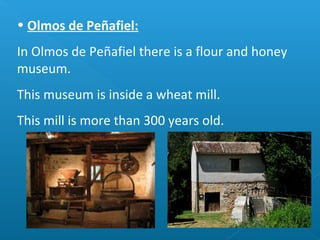 • Olmos de Peñafiel:
In Olmos de Peñafiel there is a flour and honey
museum.
This museum is inside a wheat mill.
This mill is more than 300 years old.
 