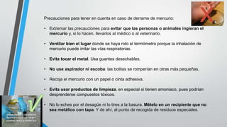 Precauciones para tener en cuenta en caso de derrame de mercurio:
• Extremar las precauciones para evitar que las personas o animales ingieran el
mercurio y, si lo hacen, llevarlos al médico o al veterinario.
• Ventilar bien el lugar donde se haya roto el termómetro porque la inhalación de
mercurio puede irritar las vías respiratorias.
• Evita tocar el metal. Usa guantes desechables.
• No use aspirador ni escoba: las bolitas se romperían en otras más pequeñas.
• Recoja el mercurio con un papel o cinta adhesiva.
• Evita usar productos de limpieza, en especial si tienen amoniaco, pues podrían
desprenderse compuestos tóxicos.
• No lo eches por el desagüe ni lo tires a la basura. Mételo en un recipiente que no
sea metálico con tapa. Y de ahí, al punto de recogida de residuos especiales.
 