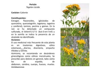 Pericón
Tagetes Lúcida
Carácter: Caliente
Constituyentes:
Estragol;
flavonoides,
(glicósidos
de
quercetina, quercetagritín, tagetona, tagetina
y camferol), taninos, pectina y gomas. En la
raíz se ha detectado un compuesto
sulfurado, el bitienil-2-2'-5- (but-3-en-l-inil) y
en la semilla se indica la presencia de un
alcaloide no identificado.
Acciones:
El uso medicinal más frecuente de esta planta
es
en
trastornos
digestivos,
cólico
estomacal, diarrea, disentería, empacho
tifoidea y vómito.
Asimismo, se recomienda en desórdenes
ginecológicos como cólicos menstruales, Se
prescribe para dolores en general, tales como
los
de
espalda,
de
abdomen, cerebro, cuerpo, huesos, muelas.
Antidepresivo

 