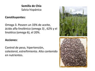 Semilla de Chía
Salvia hispánica

Constituyentes:
Omega 3. Poseen un 33% de aceite,
ácido alfa-linolénico (omega 3) , 62% y el
linoléico (omega 6), el 20%.
Acciones:
Control de peso, hipertensión,
colesterol, estreñimiento. Alto contenido
en nutrientes.

 