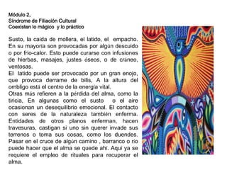 Módulo 2,
Síndrome de Filiación Cultural
Coexisten lo mágico y lo práctico

Susto, la caída de mollera, el latido, el empacho.
En su mayoría son provocadas por algún descuido
o por frio-calor. Esto puede curarse con infusiones
de hierbas, masajes, justes óseos, o de cráneo,
ventosas.
El latido puede ser provocado por un gran enojo,
que provoca derrame de bilis, A la altura del
ombligo está el centro de la energía vital.
Otras más refieren a la pérdida del alma, como la
tiricia, En algunas como el susto
o el aire
ocasionan un desequilibrio emocional. El contacto
con seres de la naturaleza también enferma.
Entidades de otros planos enferman, hacen
travesuras, castigan si uno sin querer invade sus
terrenos o toma sus cosas, como los duendes.
Pasar en el cruce de algún camino , barranco o río
puede hacer que el alma se quede ahí. Aquí ya se
requiere el empleo de rituales para recuperar el
alma.

 