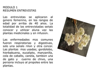 MODULO 1
RESUMEN ENTREVISTAS
Las entrevistas se aplicaron al
género femenino, en los rangos de
edad por arriba de 40 años. La
totalidad de las entrevistadas señaló
conocer y utilizar aluna vez las
plantas medicinales y en infusión.
Las enfermedades más comunes
fueron respiratorias y digestivas,
sólo una señaló riñón y otra cáncer.
Las plantas más usadas; gordolobo,
hierbabuena, eucalipto, manzanilla,
cola de caballo, canela, también uña
de gato y cuerno de chivo, una
persona incluyo al propóleo entre las
plantas.

 