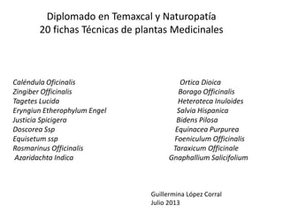 Diplomado en Temaxcal y Naturopatía
20 fichas Técnicas de plantas Medicinales

Caléndula Oficinalis
Zingiber Officinalis
Tagetes Lucida
Eryngiun Etherophylum Engel
Justicia Spicigera
Doscorea Ssp
Equisetum ssp
Rosmarinus Officinalis
Azaridachta Indica

Ortica Dioica
Borago Officinalis
Heteroteca Inuloides
Salvia Hispanica
Bidens Pilosa
Equinacea Purpurea
Foeniculum Officinalis
Taraxicum Officinale
Gnaphallium Salicifolium

Guillermina López Corral
Julio 2013

 