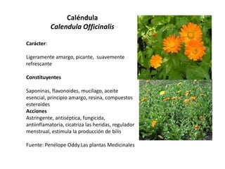 Caléndula
Calendula Officinalis
Carácter:
Ligeramente amargo, picante, suavemente
refrescante

Constituyentes
Saponinas, flavonoides, mucílago, aceite
esencial, principio amargo, resina, compuestos
esteroides
Acciones
Astringente, antiséptica, fungicida,
antiinflamatoria, cicatriza las heridas, regulador
menstrual, estimula la producción de bilis
Fuente: Penélope Oddy.Las plantas Medicinales

 
