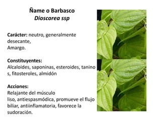 Ñame o Barbasco
Dioscorea ssp
Carácter: neutro, generalmente
desecante,
Amargo.
Constituyentes:
Alcaloides, saponinas, esteroides, tanino
s, fitosteroles, almidón

Acciones:
Relajante del músculo
liso, antiespasmódica, promueve el flujo
biliar, antiinflamatoria, favorece la
sudoración.

 