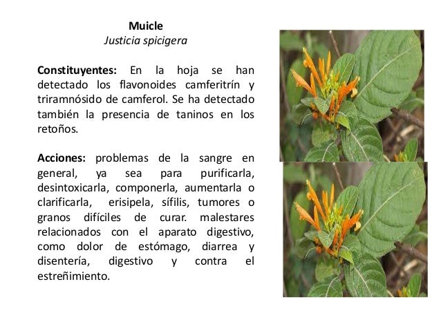 Botiquin herbolario Botiquin herbolario
