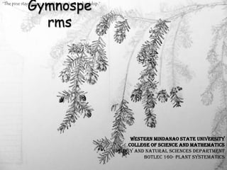 Gymnospe
rms
“The pine stays green in winter...wisdom in hardship.”
Western Mindanao State University
College of Science And Mathematics
Biology and Natural Sciences Department
BotLec 160- Plant Systematics
 