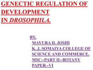 GENECTIC REGULATION OF
DEVELOPMENT
IN DROSOPHILA.
BY,
MAYURA D. JOSHI
K. J. SOMAIYA COLLEGE OF
SCIENCE AND COMMERCE.
MSC--PART II--BOTANY
PAPER--VI
 