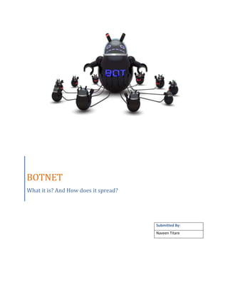 BOTNET
What it is? And How does it spread?

Submitted By:
Naveen Titare

 
