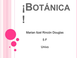 ¡Botánica! Marian Itzel Rincón Douglas 5 F Univo 