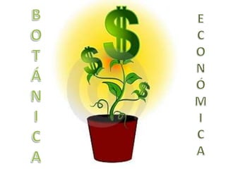 BOTÁNICAECONÓMICA