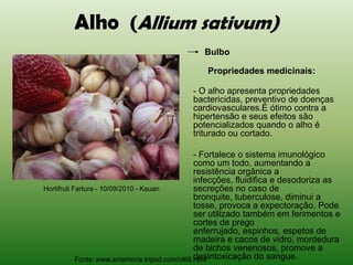 Alho (Allium sativum)
                                              Bulbo

                                               Propriedades medicinais:

                                          - O alho apresenta propriedades
                                          bactericidas, preventivo de doenças
                                          cardiovasculares.É ótimo contra a
                                          hipertensão e seus efeitos são
                                          potencializados quando o alho é
                                          triturado ou cortado.

                                                - Fortalece o sistema imunológico
                                                como um todo, aumentando a
                                                resistência orgânica a
                                                infecções, fluidifica e desodoriza as
Hortifruti Fartura - 10/09/2010 - Kauan         secreções no caso de
                                                bronquite, tuberculose, diminui a
                                                tosse, provoca a expectoração. Pode
                                                ser utilizado também em ferimentos e
                                                cortes de prego
                                                enferrujado, espinhos, espetos de
                                                madeira e cacos de vidro, mordedura
                                                de bichos venenosos, promove a
                                                desintoxicação do sangue.
            Fonte: www.amemoria.tripod.com/id66.html
 