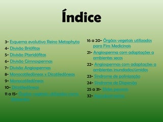 Índice
3- Esquema evolutivo Reino Metaphyta       16 a 20- Órgãos vegetais utilizados
                                               para Fins Medicinais
4- Divisão Briófitas
                                           21- Angiosperma com adaptações a
5- Divisão Pteridófitas
                                               ambientes secos
6- Divisão Gimnospermas
                                           22- Angiospermas com adaptações a
7- Divisão Angiospermas                        ambientes inundados/úmidos
8- Monocotiledôneas x Dicotiledôneas       23- Síndrome de polinização
9- Monocotiledôneas                        24- Síndrome de Dispersão
10- Dicotiledôneas                         25 a 31- Slides pessoais
11 a 15- Órgãos vegetais utilizados como   32- Agradecimentos
    Alimentos
 