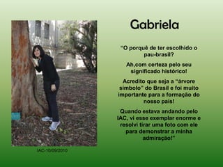 Gabriela
                  “O porquê de ter escolhido o
                          pau-brasil?
                    Ah,com certeza pelo seu
                     significado histórico!
                   Acredito que seja a “árvore
                  símbolo” do Brasil e foi muito
                 importante para a formação do
                          nosso país!
                  Quando estava andando pelo
                 IAC, vi esse exemplar enorme e
                  resolvi tirar uma foto com ele
                    para demonstrar a minha
                            admiração!”

IAC-10/09/2010
 