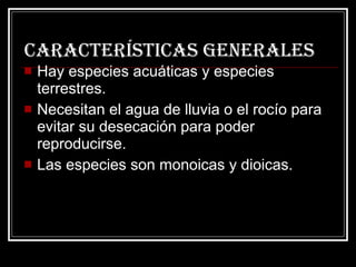 Características generales Hay especies acuáticas y especies terrestres. Necesitan el agua de lluvia o el rocío para evitar su desecación para poder reproducirse. Las especies son monoicas y dioicas.