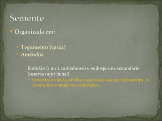  Organizada em:


   Tegumento (casca)
   Amêndoa

     Embrião (1 ou 2 cotilédones) e endosperma secundário
      (reserva nutricional)
       Sementes de feijão, ervilha e soja, não possuem endosperma. A
        reserva fica contida nos cotilédones.
 