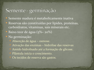  Semente madura é metabolicamente inativa
 Reservas são constituídas por lípides, proteínas,
  carboidratos, vitaminas, sais minerais etc.
 Baixo teor de água (5%– 20%)
 Na germinação:
   Absorção de água – osmose.
   Ativação das enzimas – hidrólise das reservas
   Amido hidrolisado até a formação de glicose.
   Plântula inicia o crescimento.
   Os tecidos de reserva são gastos.
 