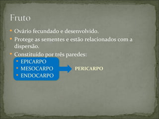  Ovário fecundado e desenvolvido.
 Protege as sementes e estão relacionados com a
  dispersão.
 Constituído por três paredes:
   EPICARPO
   MESOCARPO             PERICARPO
   ENDOCARPO
 