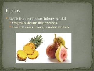  Pseudofruto composto (infrutescência)
   Origina-se de uma inflorescência.
   Fusão de várias flores que se desenvolvem.
 
