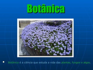 Botânica ,[object Object]